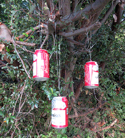 budweisertrees