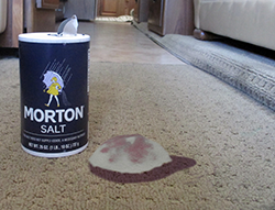 Morton Salt Carpet Stain