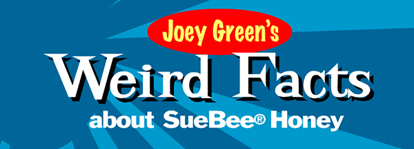 suebee